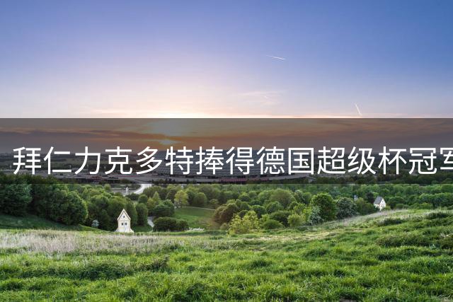 拜仁力克多特捧得德国超级杯冠军