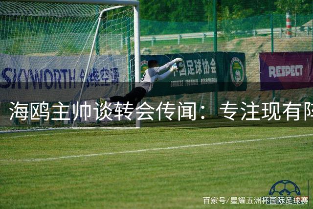 海鸥主帅谈转会传闻：专注现有阵容 期待新援首秀